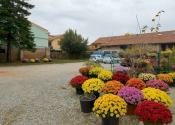 3_3 - Piante e Fiori via Generale Perotti, Grugliasco - foto 18