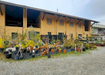 4_2 - Piante e Fiori via Generale Perotti, Grugliasco - foto 20