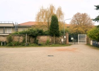 4_1 - Piante e Fiori via Generale Perotti, Grugliasco - foto 21