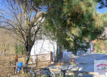 Rif 1856(Copy5).jpg - Casale SP334 10, Melazzo - photo 10