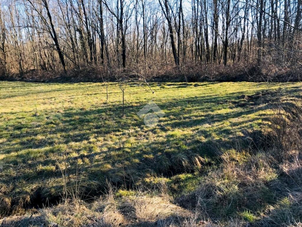 Terreno edificabile Via fiano, Vallo Torinese - foto 2