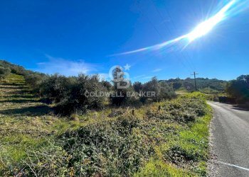 Foto 11 - Terreno edificabile strada vicinale del pozzo
 
snc, Monterotondo - foto 11