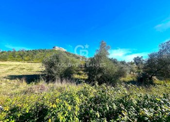 Foto 12 - Terreno edificabile strada vicinale del pozzo
 
snc, Monterotondo - foto 12