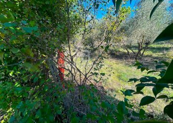 Foto 13 - Terreno edificabile strada vicinale del pozzo
 
snc, Monterotondo - foto 13