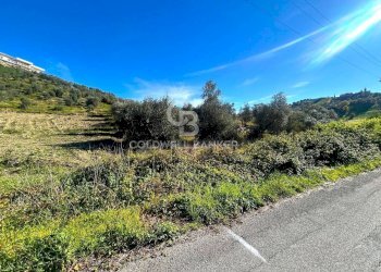 Foto 14 - Terreno edificabile strada vicinale del pozzo
 
snc, Monterotondo - foto 14