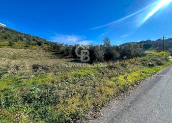 Foto 15 - Terreno edificabile strada vicinale del pozzo
 
snc, Monterotondo - foto 15