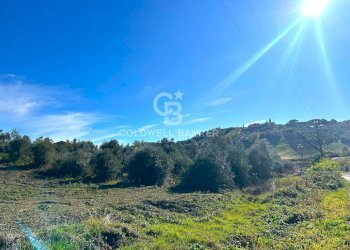 Foto 16 - Terreno edificabile strada vicinale del pozzo
 
snc, Monterotondo - foto 16