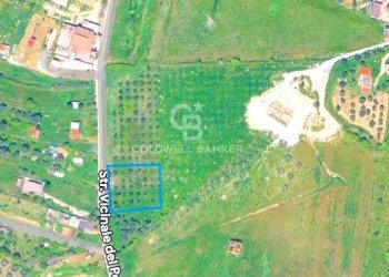 Foto 20 - Terreno edificabile strada vicinale del pozzo
 
snc, Monterotondo - foto 17