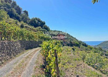 Foto 1 - Villa Località Fuberta, Vallebona - foto 1