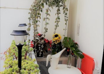 Foto 11 - Bilocale Via Ludovico Ariosto, Ferrara - foto 11