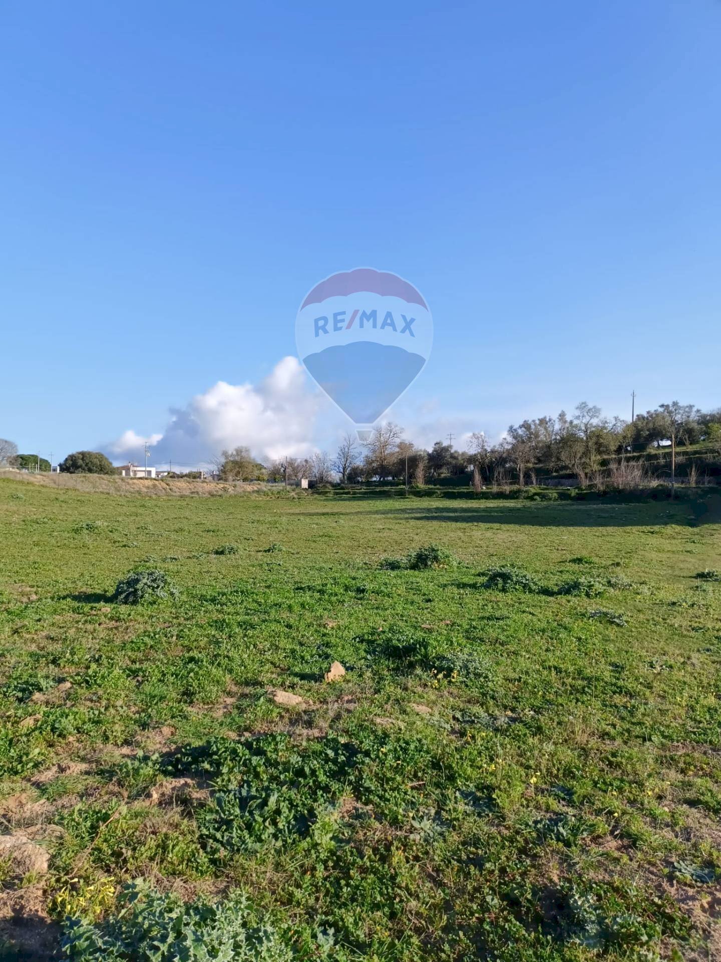 Giardino - Building land Via Luigi Einaudi, Grammichele - photo 3