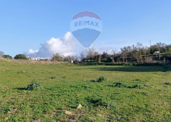 Giardino - Terreno edificabile Via Luigi Einaudi, Grammichele - foto 3