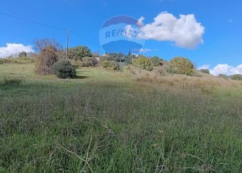 Giardino - Terreno agricolo Contrada San Marco (Coord. 6F5W+7MP)
 
snc, Caltagirone - foto 5