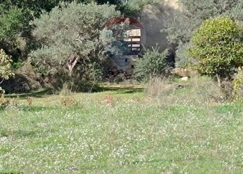 Giardino - Terreno agricolo Contrada San Marco (Coord. 6F5W+7MP)
 
snc, Caltagirone - foto 8