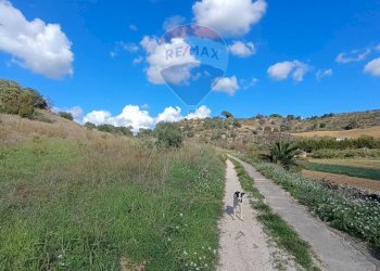 Vista delle montagne - Terreno agricolo Contrada San Marco (Coord. 6F5W+7MP)
 
snc, Caltagirone - foto 11