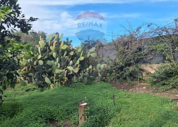 Giardino - Agricultural land strada comunale mulini, Belpasso - photo 2
