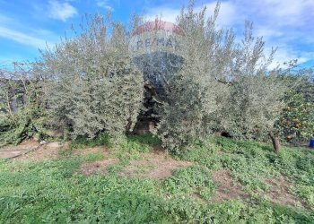 Giardino - Agricultural land strada comunale mulini, Belpasso - photo 4