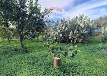 Giardino - Agricultural land strada comunale mulini, Belpasso - photo 8