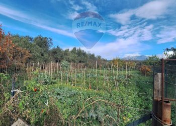 Vista delle montagne - Agricultural land strada comunale mulini, Belpasso - photo 9