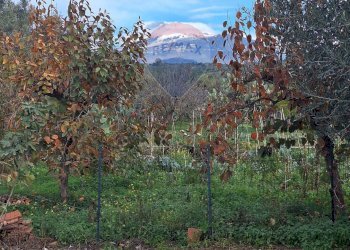 Vista delle montagne - Agricultural land strada comunale mulini, Belpasso - photo 16