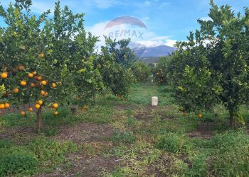 Giardino - Agricultural land strada comunale mulini, Belpasso - photo 20