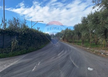 Vista delle montagne - Agricultural land strada comunale mulini, Belpasso - photo 25