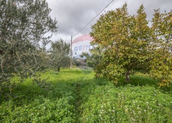 Giardino - Villa via della prece
 
snc, Caltagirone - foto 23
