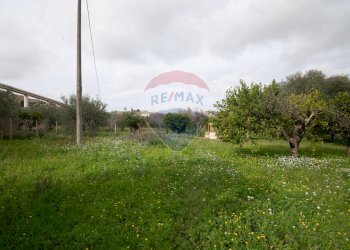 Giardino - Villa via della prece
 
snc, Caltagirone - foto 24