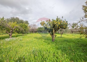 Giardino - Villa via della prece
 
snc, Caltagirone - foto 25