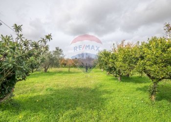 Giardino - Villa via della prece
 
snc, Caltagirone - foto 27