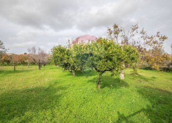 Giardino - Villa via della prece
 
snc, Caltagirone - foto 28