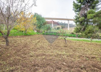 Giardino - Villa via della prece
 
snc, Caltagirone - foto 33