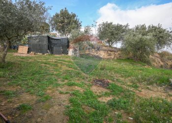 Giardino - Villa Via Antonio Gravina Bellicoso
 
snc, Caltagirone - foto 28