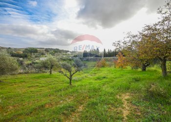 Giardino - Villa Via Antonio Gravina Bellicoso
 
snc, Caltagirone - foto 30