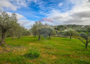 Giardino - Villa Via Antonio Gravina Bellicoso
 
snc, Caltagirone - foto 32