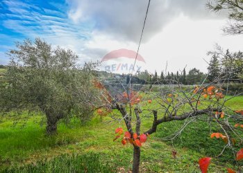 Giardino - Villa Via Antonio Gravina Bellicoso
 
snc, Caltagirone - foto 33