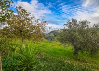 Giardino - Villa Via Antonio Gravina Bellicoso
 
snc, Caltagirone - foto 34