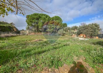 Giardino - Villa Via Antonio Gravina Bellicoso
 
snc, Caltagirone - foto 41