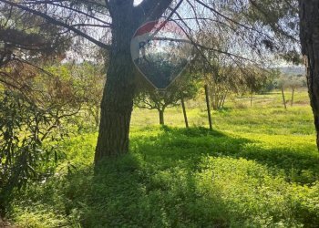 Giardino - Villa Contrada San Cataldo
 
snc, Caltagirone - foto 22