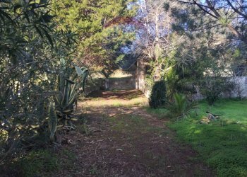 Giardino - Villa Contrada San Cataldo
 
snc, Caltagirone - foto 26