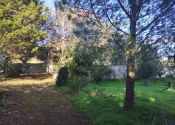 Giardino - Villa Contrada San Cataldo
 
snc, Caltagirone - foto 27