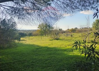 Giardino - Villa Contrada San Cataldo
 
snc, Caltagirone - foto 28