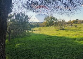 Giardino - Villa Contrada San Cataldo
 
snc, Caltagirone - foto 37