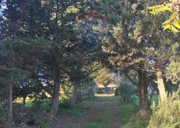 Giardino - Villa Contrada San Cataldo
 
snc, Caltagirone - foto 43