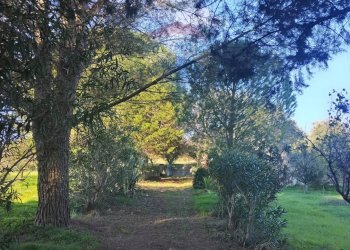 Giardino - Villa Contrada San Cataldo
 
snc, Caltagirone - foto 44