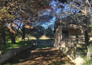 Giardino - Villa Contrada San Cataldo
 
snc, Caltagirone - foto 45