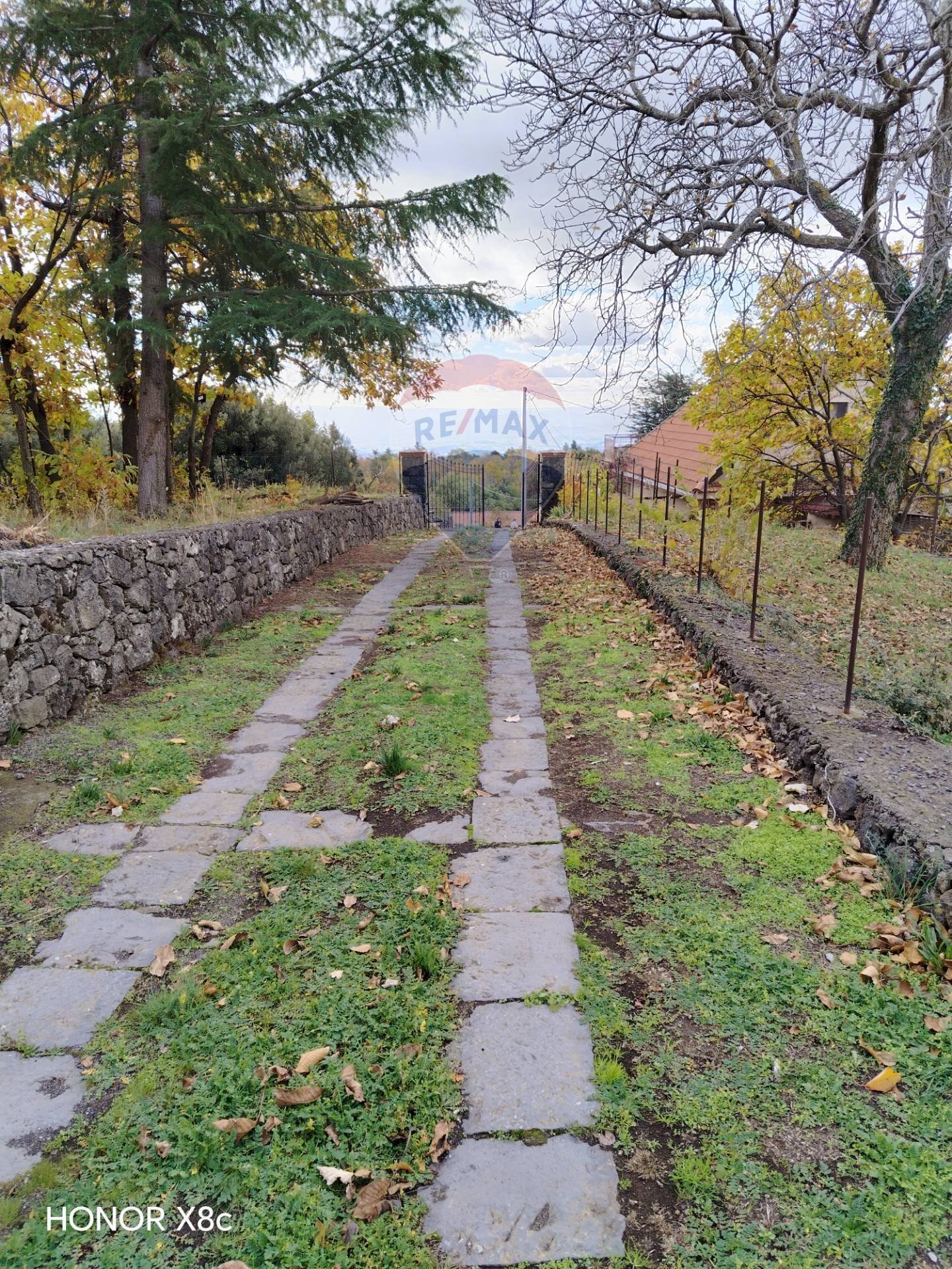 Giardino - Agricultural land Contrada Calabrese
snc, Adrano - photo 2