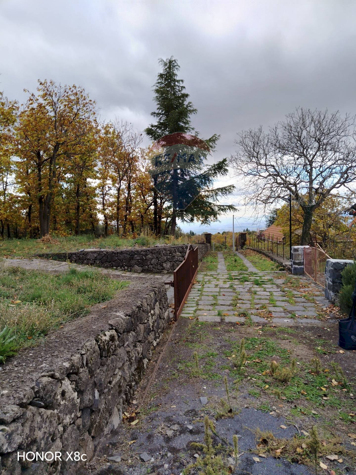 Giardino - Agricultural land Contrada Calabrese
snc, Adrano - photo 3