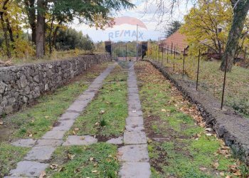 Giardino - Terreno agricolo Contrada Calabrese
 
snc, Adrano - foto 2