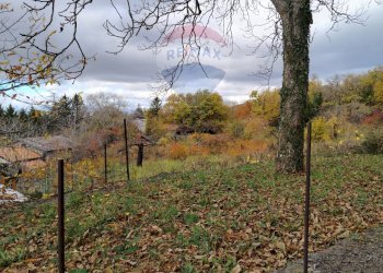 Giardino - Terreno agricolo Contrada Calabrese
 
snc, Adrano - foto 4